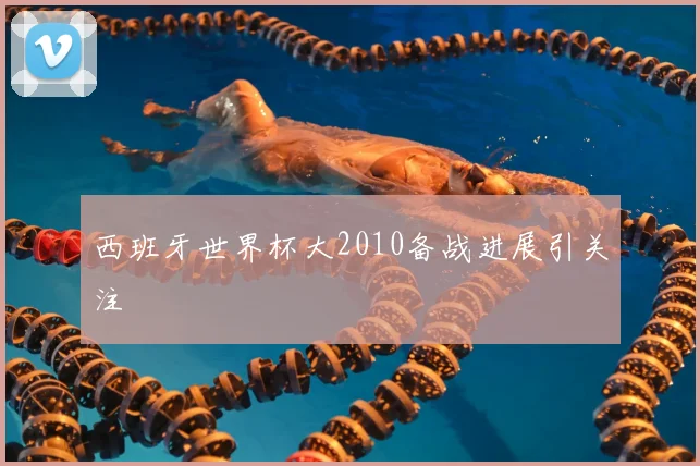 西班牙世界杯大2010备战进展引关注