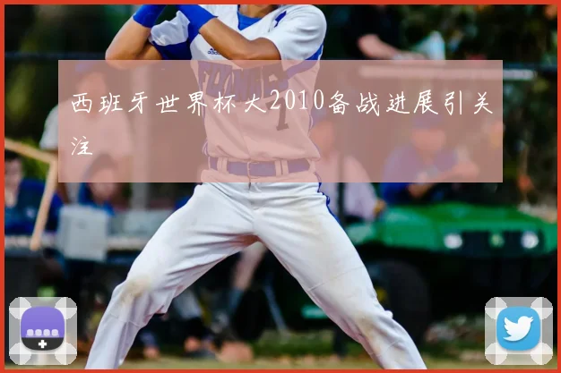 西班牙世界杯大2010备战进展引关注