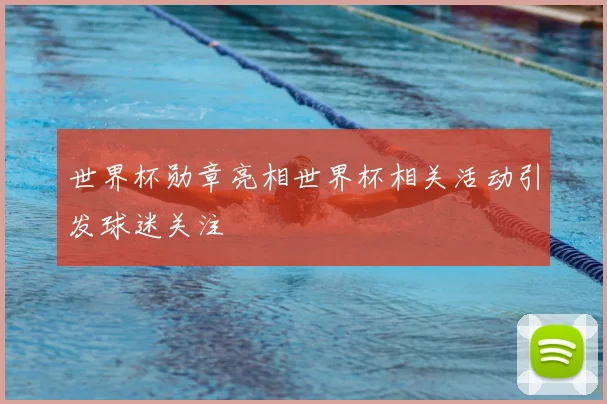 世界杯勋章亮相世界杯相关活动引发球迷关注