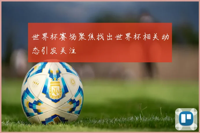世界杯赛场聚焦找出世界杯相关动态引发关注