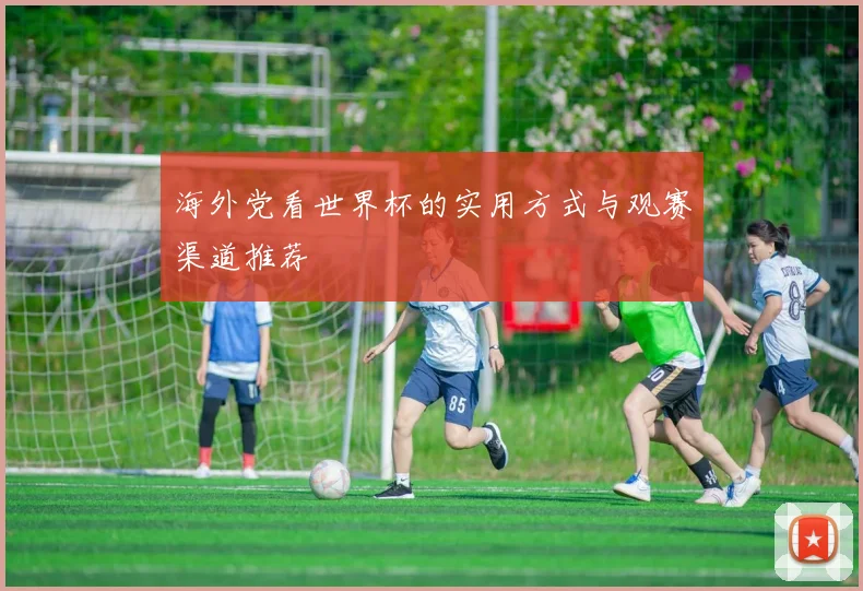 海外党看世界杯的实用方式与观赛渠道推荐